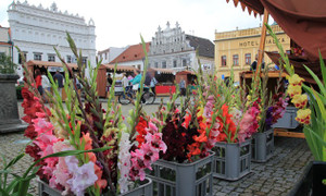 Farmářské trhy srpen