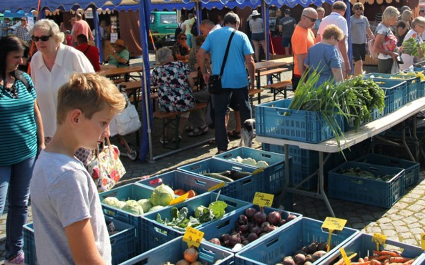 Farmářské trhy - Vinné trhy