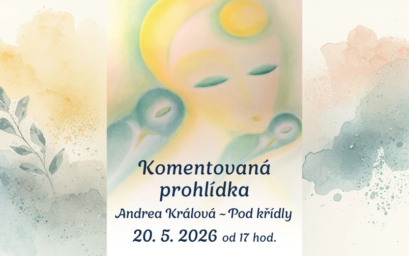 Komentovaná prohlídka - Andrea Králová - POD KŘÍDLY