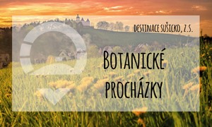 Botanické procházky s odborníkem 