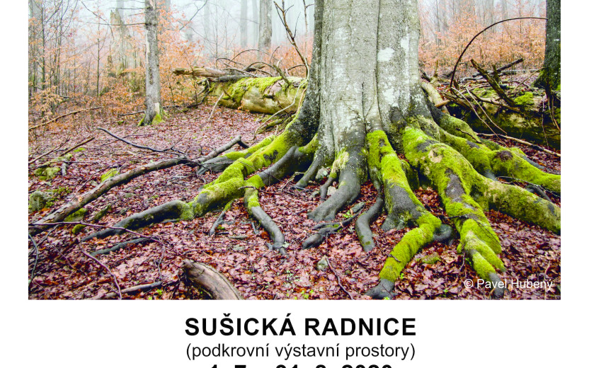 Výstava fotografií z Boubína