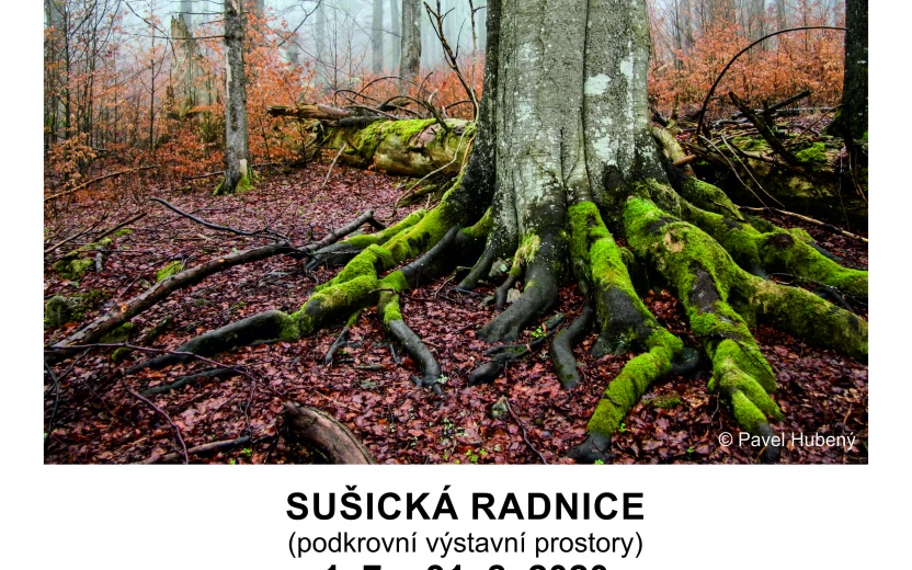 Výstava fotografií z Boubína