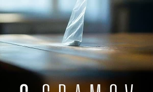 6 gramů