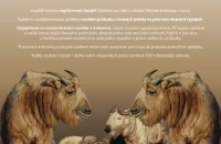 MKS_zoo_2022.jpg